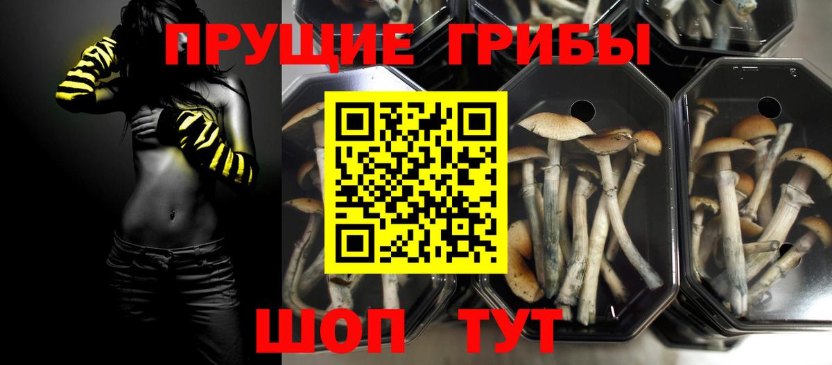 Сафоново  где можно купить   Вход с VPN  Псилоцибиновые грибы мицелий  Псилоцибиновые грибы Magic Shrooms 
